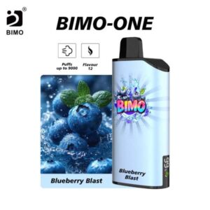 Bimo ONE 9000-Blueberry-Blast