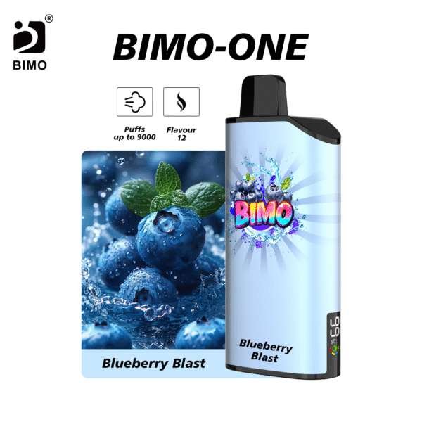 Bimo ONE 9000-Blueberry-Blast
