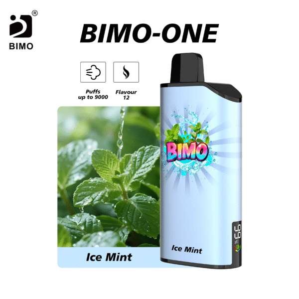 Bimo ONE 9000-Ice-Mint