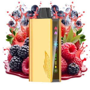 JNR Cruiser Quadruple Berry