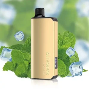 Alibarbar Ingot 9000 Puffs-Cool-Mint