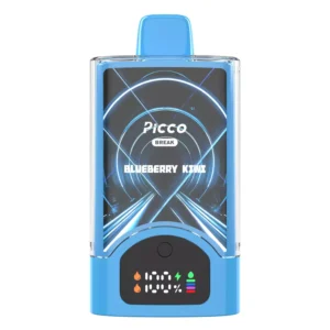Picco-Break-30000-Puffs-Blueberry-Kiwi