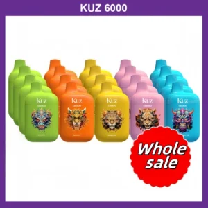 KUZ C6000 PUFFS-Wholesale-10pack